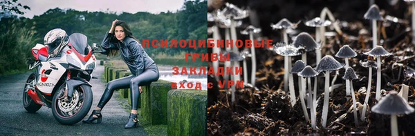 не бодяженный Богданович