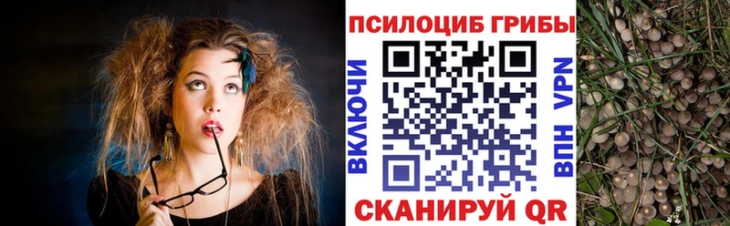 где можно купить наркотик  Буйнакск  KRAKEN как зайти  Галлюциногенные грибы MAGIC MUSHROOMS 